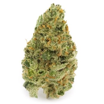 Super Silver Haze Premium Cannabis Flower