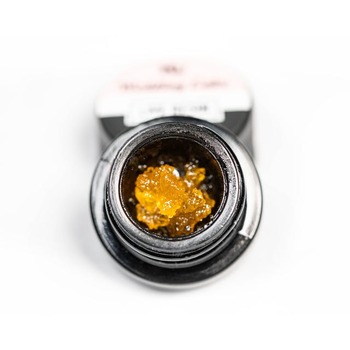 Wedding Cake Live Resin Sauce